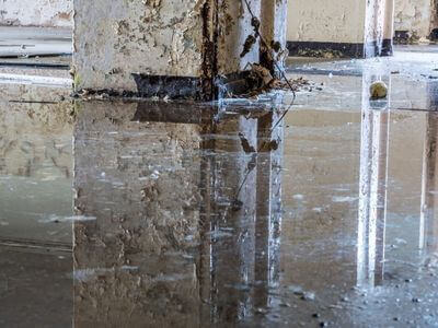 About BriskRenewal - water damage restoration experts in Thousand Oaks