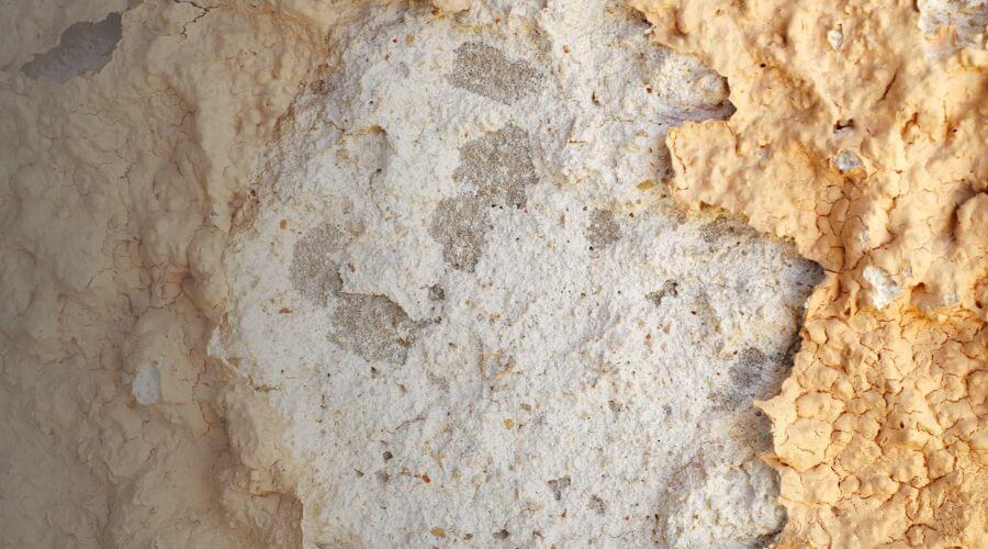 Why choose BriskRenewal for water damage restoration in Thousand Oaks